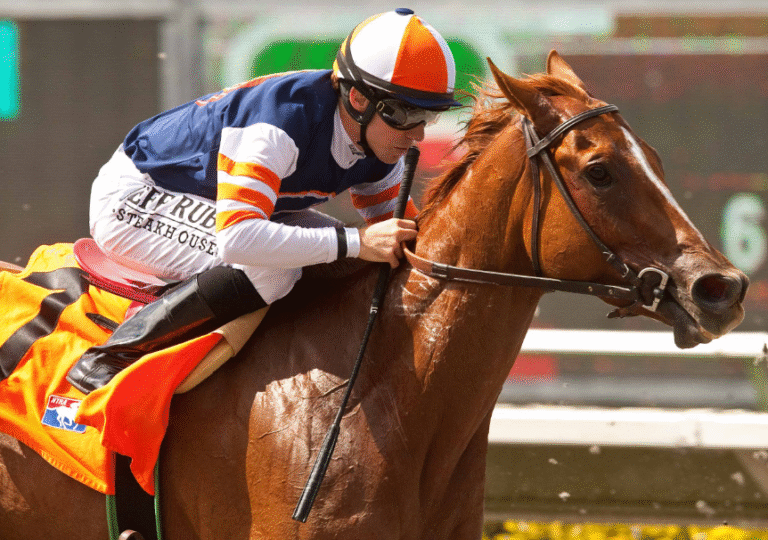 The Business of Horse Racing: From Owners to Trainers