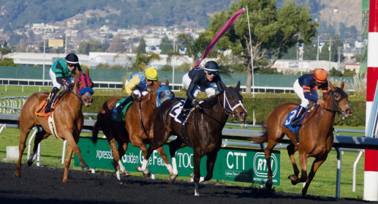 The Evolution of Horse Racing Tracks
