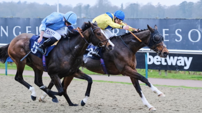 The Future of Digital Betting in Horse Racing