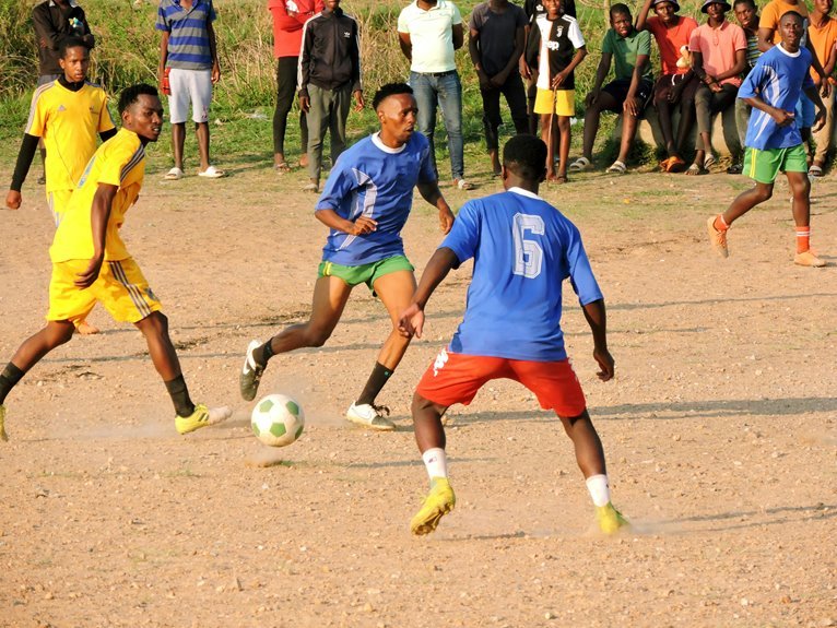 daily sports outcome updates