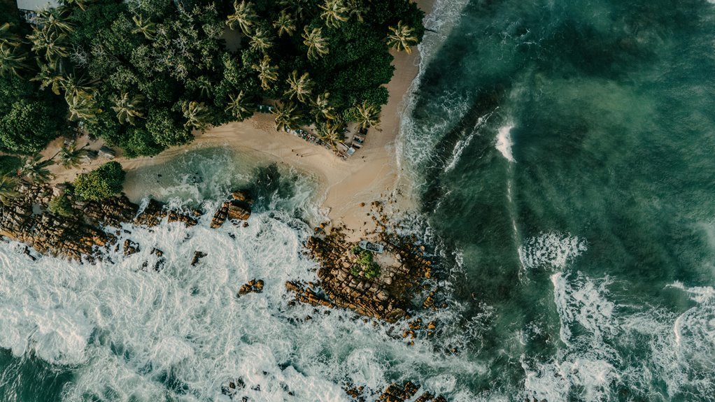 harem hotel secret codes